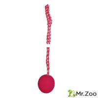 Triol (Триол) "Мяч с петлей, колокольчик" игрушка для собак из цельнолитой резины, d50/510 мм