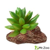 Растение для террариумов Repti-Zoo Толстянка, 95*70*90 мм